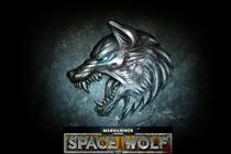 ОБЗОР ИГРЫ "SPACE WOLF"